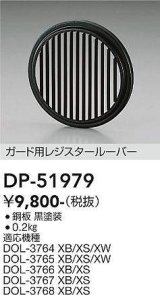 大光電機(DAIKO)　DP-51979　アウトドアライト 照明部材 ガード用レジスタールーバー ブラック