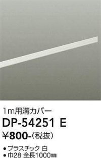 大光電機(DAIKO)　DP-54251E　照明部材 ダクトレールカバー ホワイト