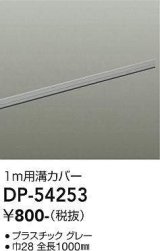 大光電機(DAIKO)　DP-54253　照明部材 ダクトレールカバー グレー
