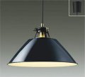 大光電機(DAIKO) DPN-38507 YE ペンダント 非調光 LED 電球色 ランプ付 フランジタイプ ブラック