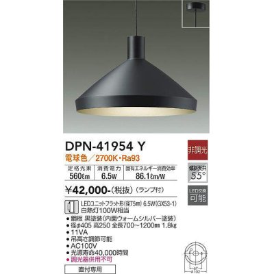 dpn-41954y(小組)