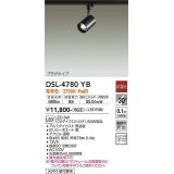 【数量限定特価】大光電機(DAIKO)　DSL-4780YB　スポットライト LED内蔵 非調光 電球色 天井付・壁付兼用 プラグタイプ ブラック