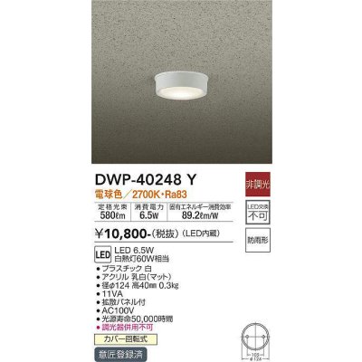 画像1: 大光電機(DAIKO)　DWP-40248Y　アウトドア 軒下シーリング LED内蔵 非調光 電球色 防雨形 拡散パネル付