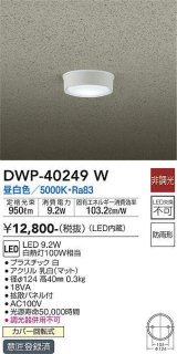 大光電機(DAIKO)　DWP-40249W　アウトドア 軒下シーリング LED内蔵 非調光 温白色 防雨形 拡散パネル付