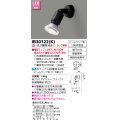 東芝ライテック　IB30122(K)　アウトドア スポットライト LEDビームランプ ブラック 壁面専用 ランプ別売