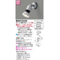 東芝ライテック　IB30122(S)　アウトドア スポットライト LEDビームランプ シルバー 壁面専用 ランプ別売