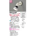東芝ライテック　IB30122(W)　アウトドア スポットライト LEDビームランプ ホワイト 壁面専用 ランプ別売