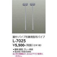 大光電機(DAIKO)　L-7025　照明部材 直付・パイプ吊り兼用型ダクトレール用 吊パイプ 2本1組 グレー