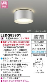 東芝ライテック　LEDG85901　アウトドア 軒下シーリングライト LEDユニットフラット形 天井・壁面兼用 防湿 シルバー ランプ別売