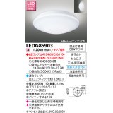 東芝ライテック　LEDG85903　アウトドア 軒下シーリングライト LEDユニットフラット形 天井・壁面兼用 防湿 ホワイト ランプ別売