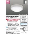 東芝ライテック　LEDG85918(W)　アウトドア 軒下シーリングライト LEDユニットフラット形 天井・壁面兼用 ホワイト ランプ別売