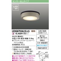 [メーカー在庫限り] 東芝ライテック　LEDG87934L(S)-LS　アウトドア 軒下シーリングライト LED一体形 電球色 天井・壁面兼用 ウォームシルバー