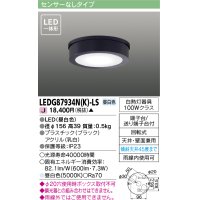[メーカー在庫限り] 東芝ライテック　LEDG87934N(K)-LS　アウトドア 軒下シーリングライト LED一体形 昼白色 天井・壁面兼用 ブラック