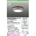[メーカー在庫限り] 東芝ライテック　LEDG87934N(S)-LS　アウトドア 軒下シーリングライト LED一体形 昼白色 天井・壁面兼用 ウォームシルバー