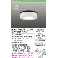 [メーカー在庫限り] 東芝ライテック　LEDG87935L(W)-LS　アウトドア 軒下シーリングライト LED一体形 電球色 天井・壁面兼用 ホワイト