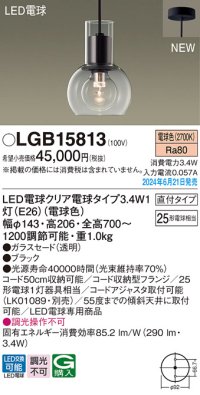 パナソニック LGB15813(ランプ同梱包) ペンダント LED(電球色) 天井吊下型 直付タイプ ガラスセード LED電球交換型 ブラック