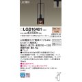 パナソニック　LGB16461　ペンダント 吊下型 LED(電球色) ダクトタイプ 白熱電球25形1灯器具相当 クリア電球 ブラック [♭]