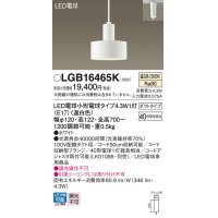 パナソニック LGB16465K ペンダント LED(温白色) 配線ダクト取付型 ダクトタイプ LED電球交換型 ホワイト