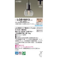 パナソニック LGB16813(ランプ同梱包) ペンダント LED(電球色) 配線ダクト取付型 ダクトタイプ ガラスセード LED電球交換型 ブラック