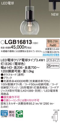 パナソニック LGB16813(ランプ同梱包) ペンダント LED(電球色) 配線ダクト取付型 ダクトタイプ ガラスセード LED電球交換型 ブラック