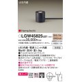 パナソニック LGW45825LE1 ガーデンライト 据置取付型 LED(電球色) 集光36度・スパイク付 防雨型 オフブラック