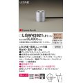 パナソニック LGW45921LE1 ガーデンライト 据置取付型 LED(電球色) 集光36度・スパイク付 防雨型 シルバーメタリック