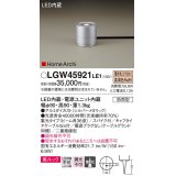 パナソニック LGW45921LE1 ガーデンライト 据置取付型 LED(電球色) 集光36度・スパイク付 防雨型 シルバーメタリック