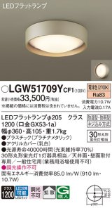 パナソニック　LGW51709YCF1　シーリングライト 天井・壁直付型 LED(電球色) 拡散 防湿・防雨型 ネジ込み方式 プラチナメタリック