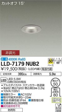 大光電機(DAIKO) LLD-7179NUB2 ダウンライト 埋込穴φ50 非調光 白色 ビーム角50度 防雨形 ステンカラー