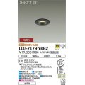 大光電機(DAIKO) LLD-7179YBB2 ダウンライト 埋込穴φ50 非調光 電球色 ビーム角50度 防雨形 黒