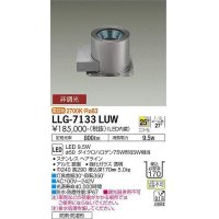 大光電機(DAIKO) LLG-7133LUW アウトドアライト グランドライト 非調光 電球色 ビーム角25度 広角形 防雨・防湿形 ステンカラー