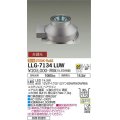大光電機(DAIKO) LLG-7134LUW アウトドアライト グランドライト 非調光 電球色 ビーム角25度 広角形 防雨・防湿形 ステンカラー