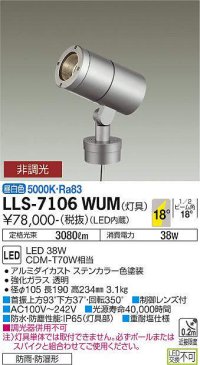 大光電機(DAIKO) LLS-7106WUM スポットライト 非調光 昼白色 灯具本体 ビーム角18度 防雨・防湿形 ステンカラー