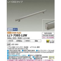 大光電機(DAIKO) LLY-7065LUW アウトドアライト 間接照明 L=1000 PWM調光(調光器別売) 電球色 灯具可動 ビーム角60度 広角形 防雨・防湿形 ステンカラー