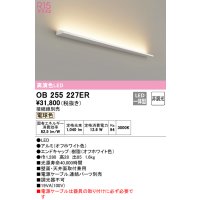 オーデリック　OB255227ER(灯体別梱)　間接照明 非調光 接続線別売 LED一体型 電球色