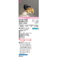 オーデリック　OB255314BR(ランプ別梱)　ブラケットライト 調光 調色 Bluetooth コントローラー別売 和風 LEDランプ 電球色〜昼光色 竹