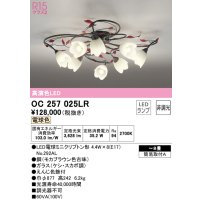 オーデリック　OC257025LR　シャンデリア 8畳 非調光 LEDランプ 電球色
