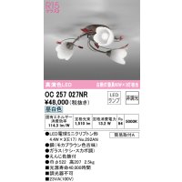 オーデリック　OC257027NR(ランプ別梱)　シャンデリア 非調光 LEDランプ 昼白色