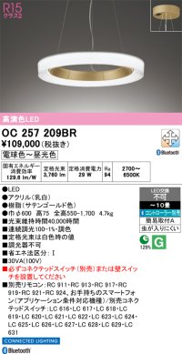 オーデリック OC257209BR シャンデリア 10畳 調光調色 Bluetooth リモコン別売 LED一体型 高演色LED サテンゴールド