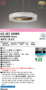 オーデリック OC257225BR シャンデリア 14畳 調光調色 Bluetooth リモコン別売 LED一体型 高演色LED サテンゴールド