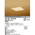 オーデリック　OD301207P2E(LED光源ユニット別梱)　和風シーリングライト LED一体型 非調光 電球色 埋込穴□450 白木