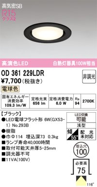 オーデリック　OD361229LDR(ランプ別梱)　ダウンライト LEDランプ 非調光 電球色 高気密SB 埋込穴φ100 ブラック