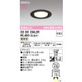 オーデリック　OD361234LDR(ランプ別梱)　ダウンライト LEDランプ 非調光 電球色 高気密SB 埋込穴φ100 ブラック