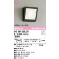 オーデリック　OG041432LCR(ランプ別梱)　エクステリア ポーチライト LEDランプ 電球色 防雨型 ブラック