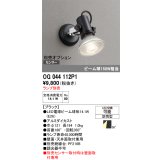 オーデリック　OG044112P1　エクステリア スポットライト ランプ別売 LEDランプ 防雨型 ブラック