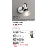 オーデリック　OG044113P1　エクステリア スポットライト ランプ別売 LEDランプ 防雨型 マットシルバー