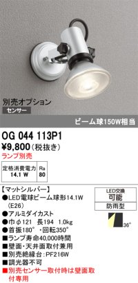 オーデリック　OG044113P1　エクステリア スポットライト ランプ別売 LEDランプ 防雨型 マットシルバー