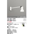 オーデリック　OG044137P1　エクステリアスポットライト LEDランプ ランプ別売 防雨型 オフホワイト