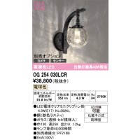 オーデリック　OG254030LCR(ランプ別梱)　エクステリア ポーチライト LEDランプ 電球色 別売センサー対応 防雨型 鉄色ラスティ
