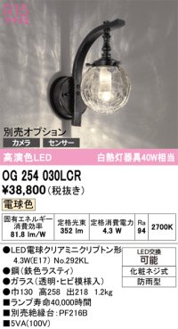 オーデリック　OG254030LCR(ランプ別梱)　エクステリア ポーチライト LEDランプ 電球色 別売センサー対応 防雨型 鉄色ラスティ